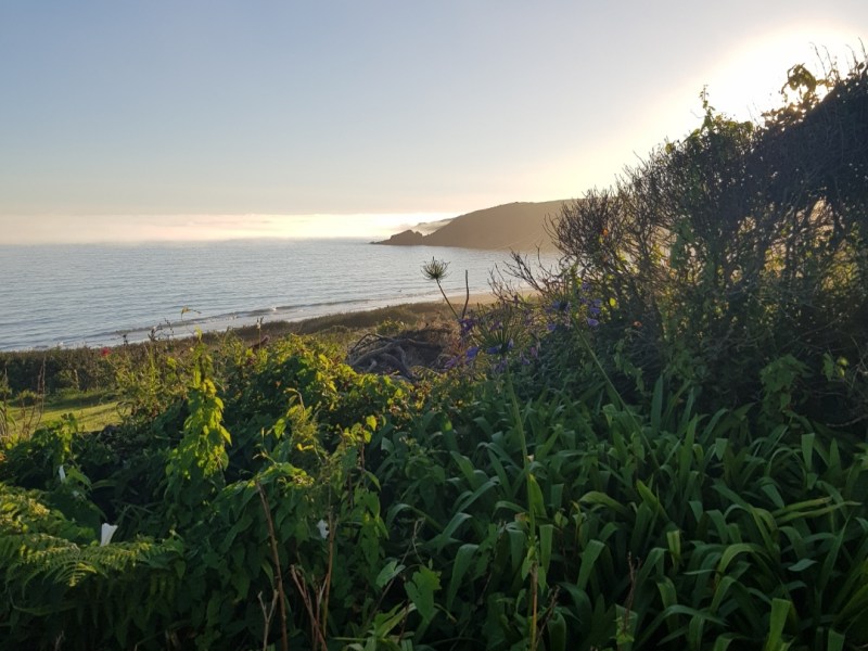 England – Surf, Sand, and Summit: A Beginner’s Guide to Exploring Cornwall’s Waves and&nbsp;Trails